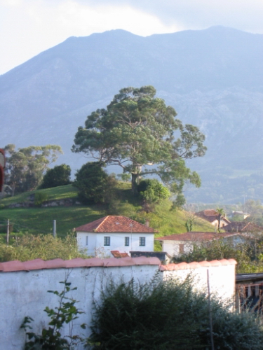 apartamento,colunga,en,de,apartamentos,rural,rurales,colunga,apartamento,apartamentos,rural,rurales,colunga,jurasico,